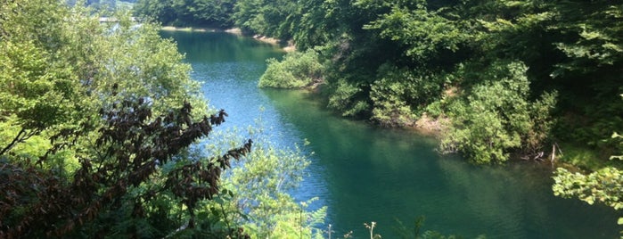 Embalses de Leurtza is one of Navarra.