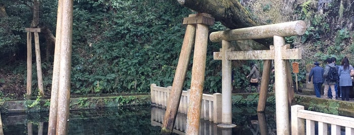 Mitarashi Pond is one of 茨城に行ったらココに行く！ Vol.1.