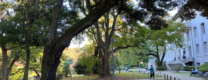 東京国立博物館 庭園 is one of Lieux sauvegardés par Cynthia.