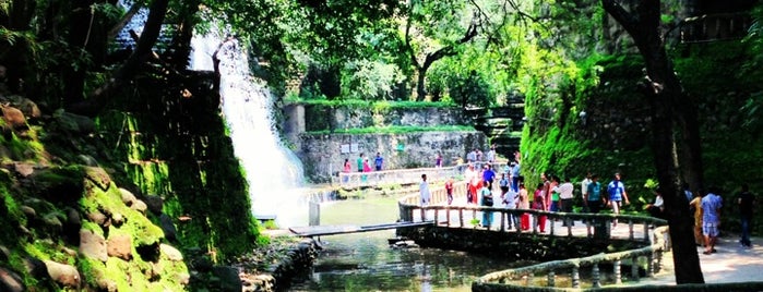 Rock Garden is one of Tempat yang Disukai Chandigarh.
