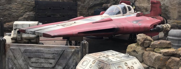 Star Wars: Galaxy's Edge is one of Florida Sites.