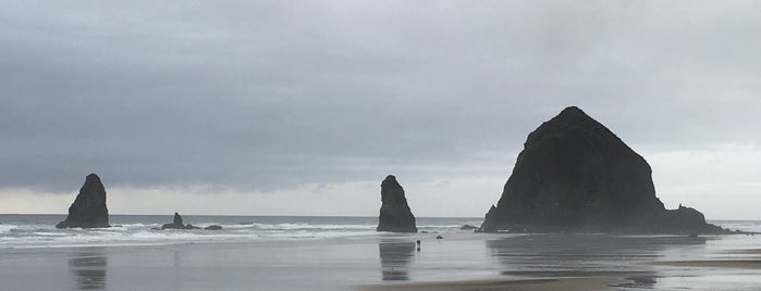 Haystack Rock is one of Ron'un Beğendiği Mekanlar.