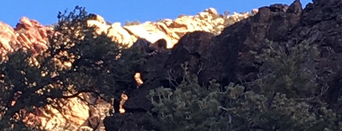 Red Rock Canyon National Conservation Area is one of Ron'un Beğendiği Mekanlar.