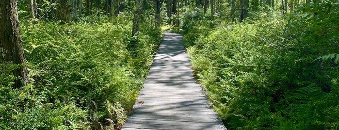 Wells Reserve at Laudholm is one of Hiking Trails.