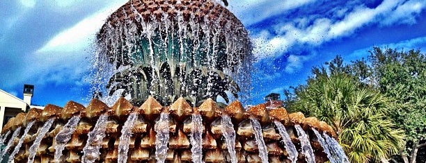 The Pineapple Fountain is one of My Holy City Favorites.