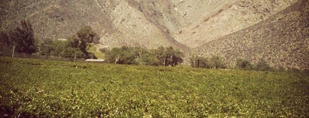 Valle de Elqui is one of Valle del Elqui.