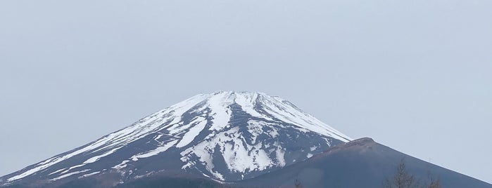 水ヶ塚公園 is one of 富士山 Mt.FUJI.