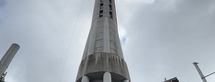 Sky Tower is one of Tourism.