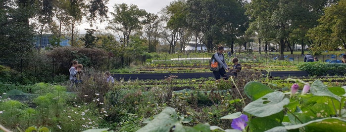 Urban Farm at Battery Park is one of New York Experience.