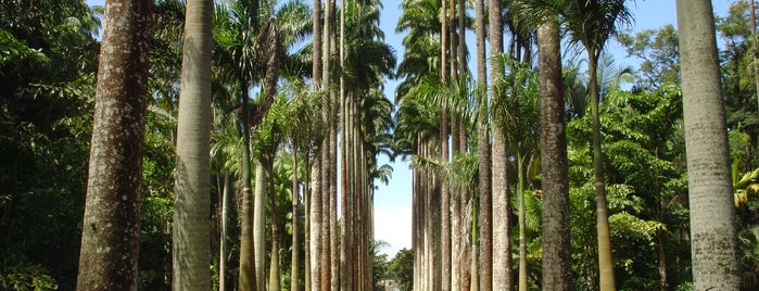 Jardim Botânico do Rio de Janeiro is one of Rio de Janeiro.