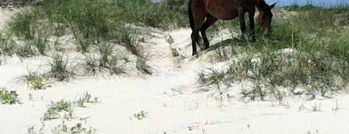 The Outer Banks of NC is one of sink or swim summer 2012.