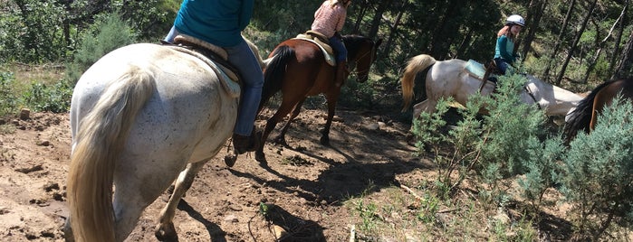 Grindstone Stables is one of Best places in Ruidoso, NM.
