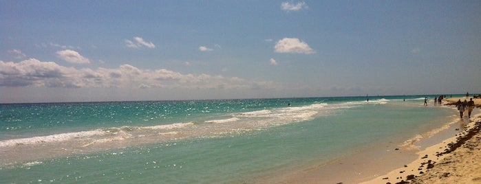 Playa Xaman-Ha is one of สถานที่ที่ Maria ถูกใจ.
