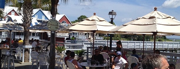 The Salty Dog Cafe is one of Lugares favoritos de Dan.