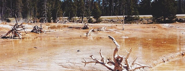 Yellowstone Millî Parkı is one of America Road Trip!.