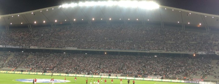 Atatürk Olympic Stadium is one of Great Stadium.