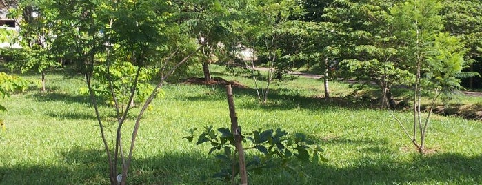 Parque Ecológico de Águas Claras is one of Tempat yang Disukai Henrique.