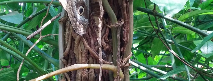 Zoológico de Brasília is one of Lieux qui ont plu à Henrique.