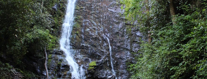 Mingo Falls is one of Waterfalls.