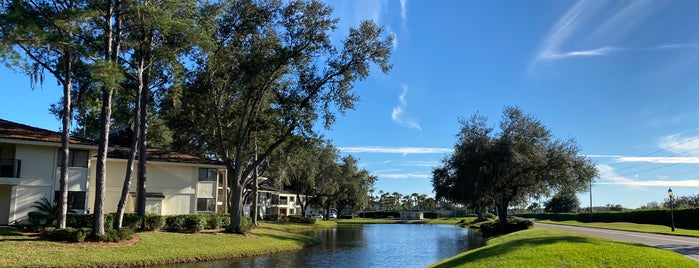 Saddlebrook Resort is one of Recommended.