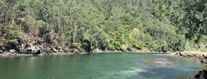 Fragas do Eume is one of Rincones de Galicia.