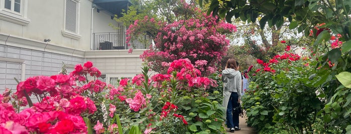 Yokohama English Garden is one of 横浜散歩.
