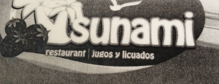 El Sunami is one of Locais curtidos por Dan.