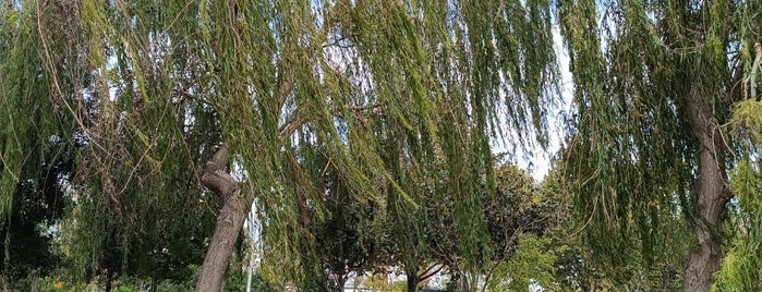 Çırpıcı Şehir Parkı is one of İstanbul'un Parkları ve Yeşil Alanları.