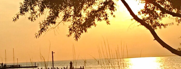 Fairhope Municipal Park is one of Places To Go To.