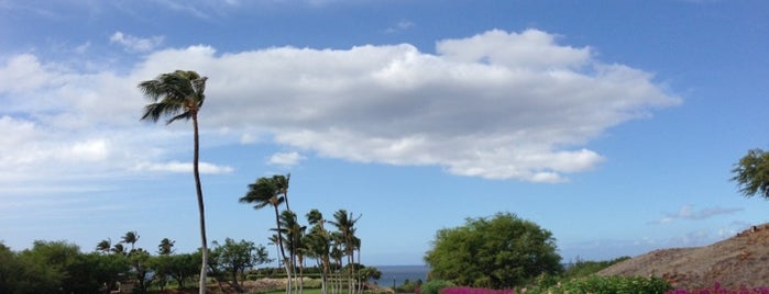 Mauna Kea Beach Resort is one of Big Island.