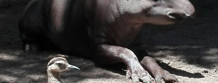 Fundación Botánica y Zoológica de Barranquilla is one of COLOMBIA.