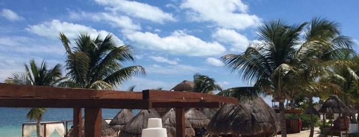 Excellence Playa Mujeres is one of Tyler’s Liked Places.
