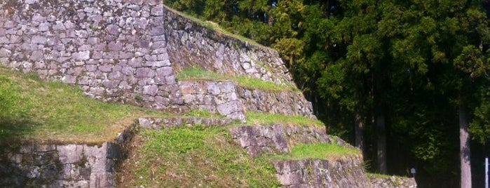 Iwamura Castle Ruins is one of 日本 100 名城.