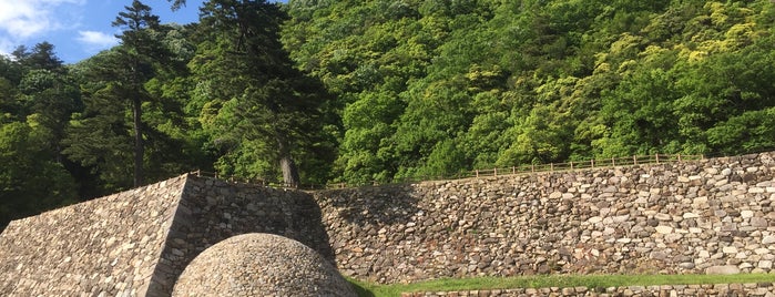 Tottori Castle Ruins is one of 日本 100 名城.