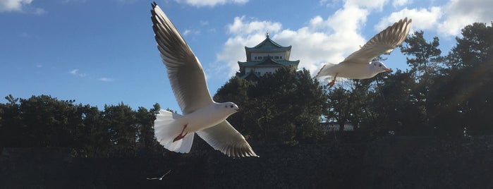 名古屋城 天守閣 is one of Japan.