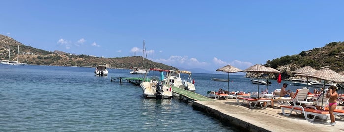 Cennet Koyu is one of Plaj.