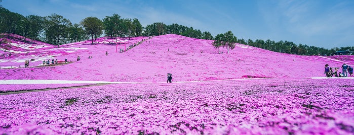 ひがしもこと芝桜公園 is one of てくてく4.