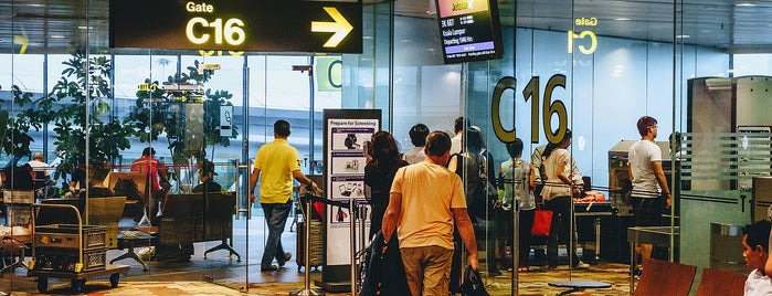 Gate C16 is one of Airports.