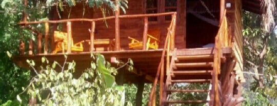 Sigiri Charuka Resort is one of sri lanka.
