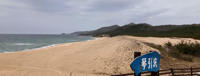 琴引浜海水浴場 is one of アウトドアスポット.