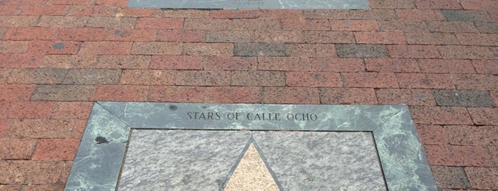 Calle Ocho Walk of Fame is one of Florida.