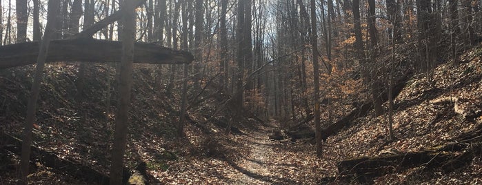 Little Gunpowder- Bottom Road Trailheadhead is one of Eric'in Beğendiği Mekanlar.