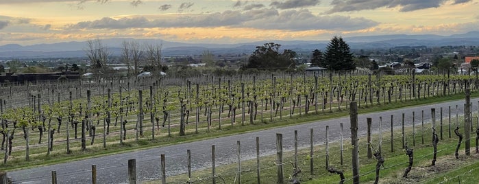 Black Barn Vineyards is one of New Zealand Favorites.