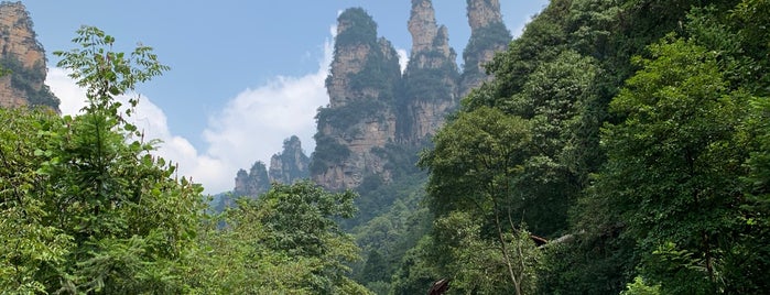 Stone Peak Forest is one of Places to visit.