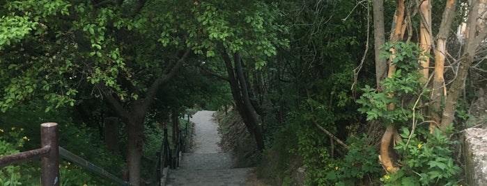 Józsefhegyi-lépcső is one of Kedvenc helyek.