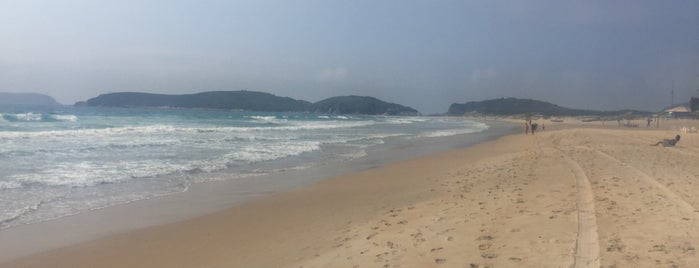 Praia do Peró is one of Aleさんのお気に入りスポット.