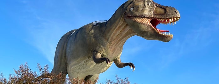 Dinosaurier Freiluftmuseum is one of Ausflüge mit Kindern.