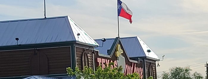 Texas Roadhouse is one of Vegan options.