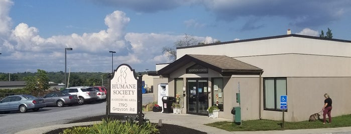 Humane Society of Harrisburg Area is one of Usual spots.