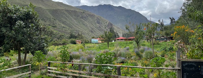 El Albergue is one of 2015-11 Machu Piccu, Puno. Tequille.